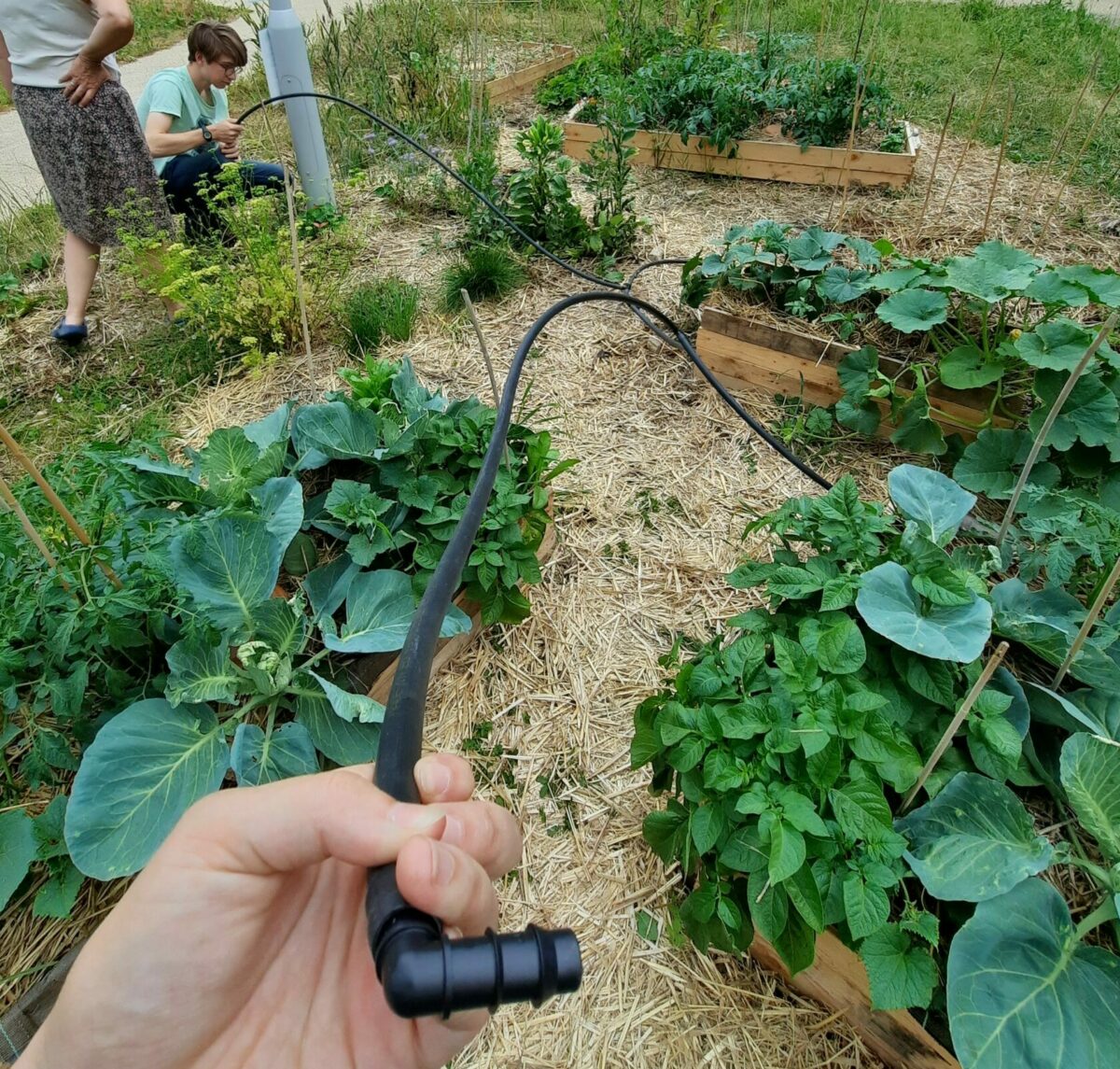 Un système d’irrigation automatique pour le jardin