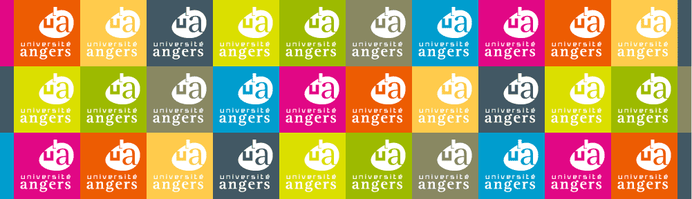 Polytech Angers – Projets PEIP2