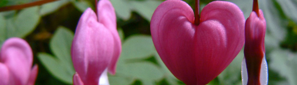 'Soir et tu diantes !