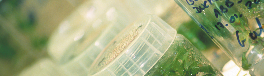 'Soir et tu diantes !